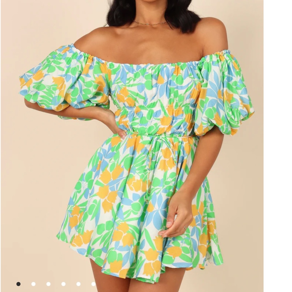 Petal & Pup Charley Mini Dress Floral